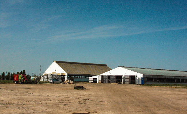 История агопромышленного комплекса Залесье