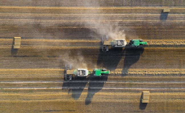 История агопромышленного комплекса Залесье