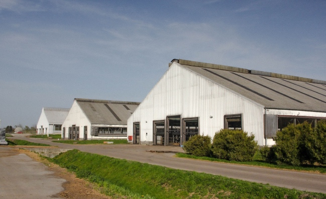 История агопромышленного комплекса Залесье