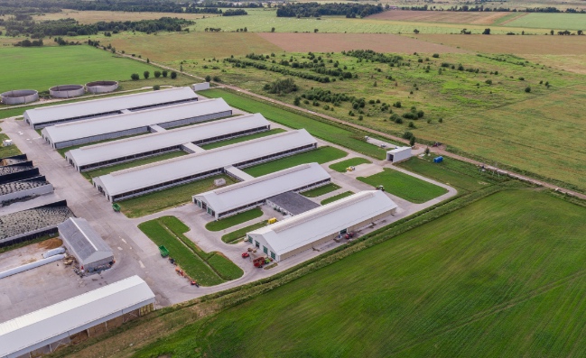 История агопромышленного комплекса Залесье